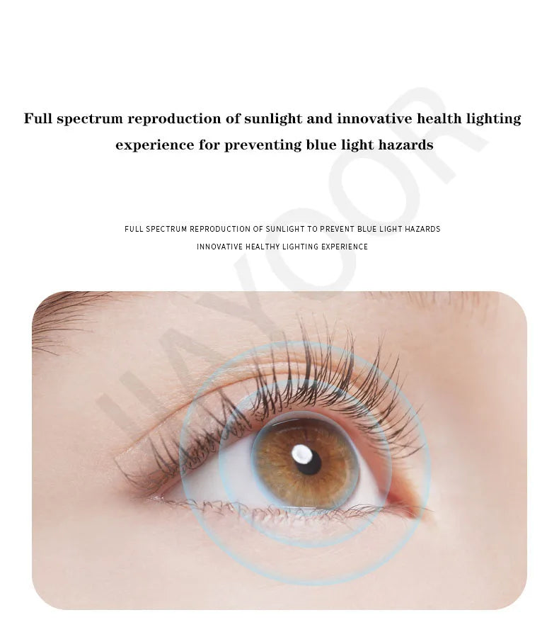 Modern Led Ring Chandelier Dimmable Black Gold Minimalist Decor for Table Dining Living Room Pendant Lamps Home Hanging Lighting